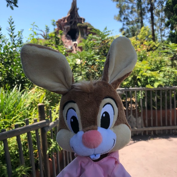 Disney Parks Splash Mountain Briar Br’er Rabbit - Picture 5 of 6